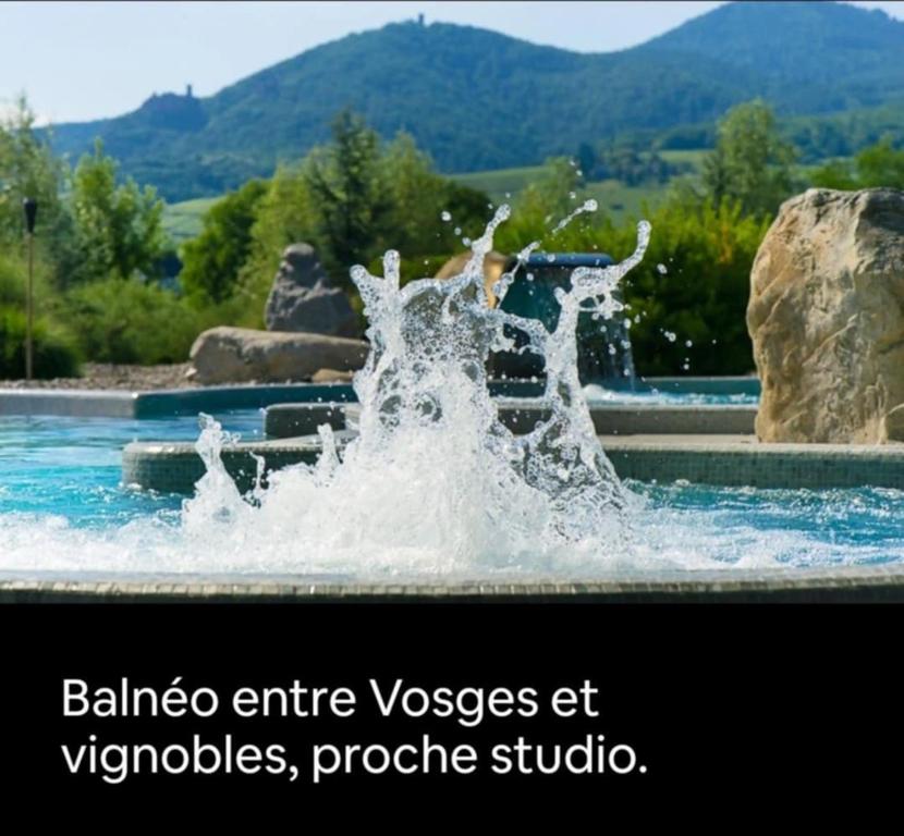 Le Refuge du Belvédère-Terrasse & Vue panoramique – photo 13