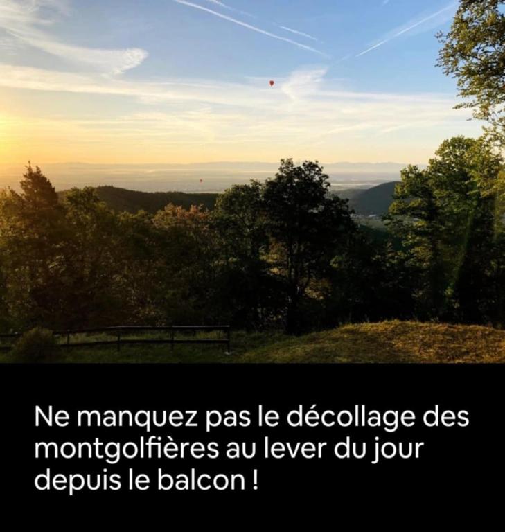 Le Refuge du Belvédère-Terrasse & Vue panoramique – photo 14