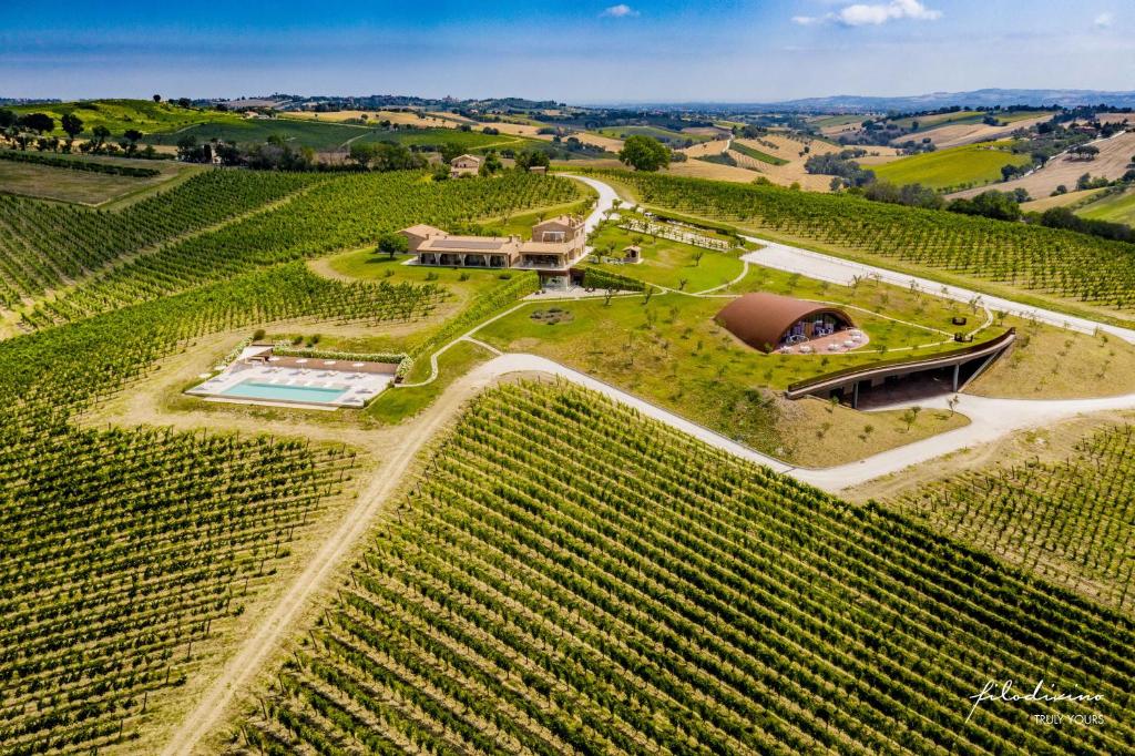 an aerial view of a vineyard with a house and a building at Filodivino Wine Resort & SPA in San Marcello