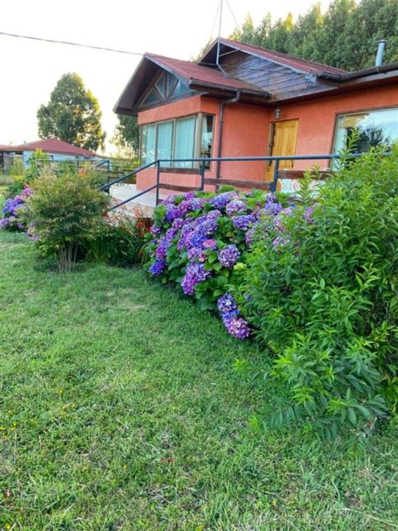 a row of purple flowers in front of a house at Casa Quinta el Labrador Renaico in Estación Roblería