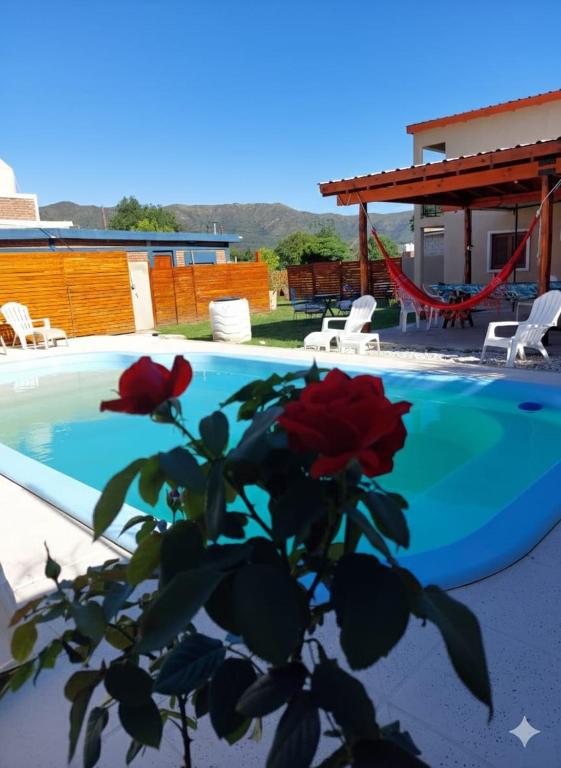 a plant with red roses next to a swimming pool at Cabañas los Materos 3 in Santa María