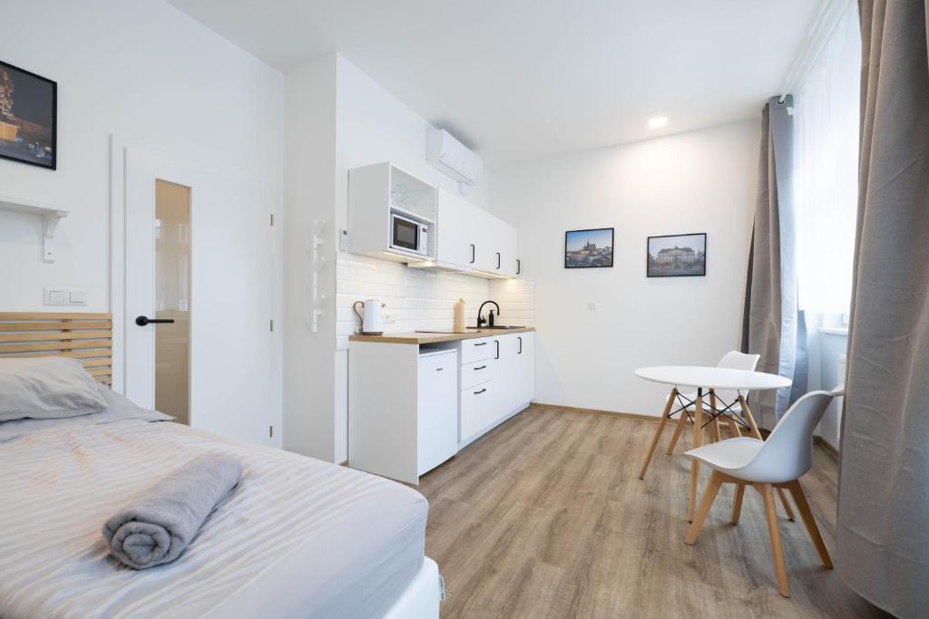 Historic Center Brno Apartment - 8