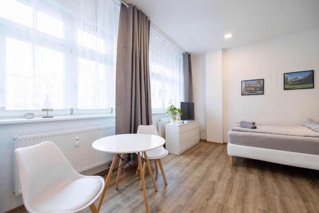 Historic Center Brno Apartment