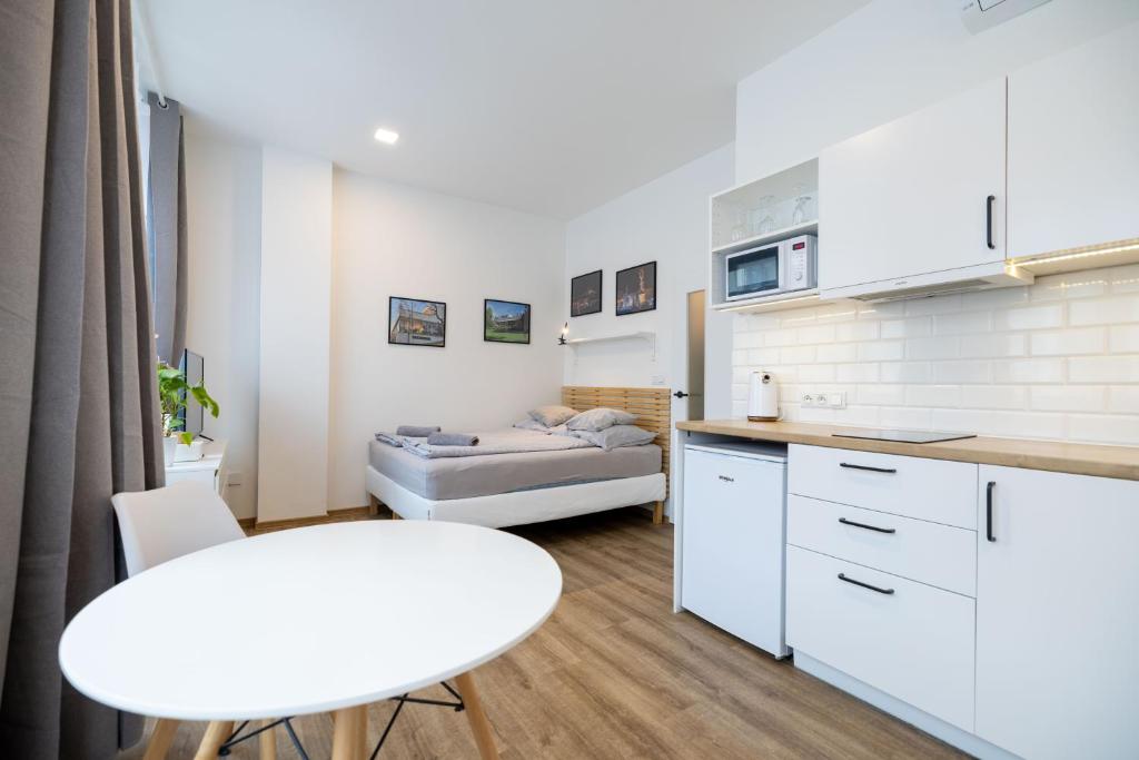 Historic Center Brno Apartment - 9