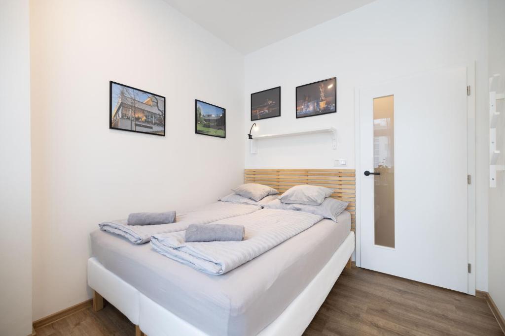 Historic Center Brno Apartment - 10