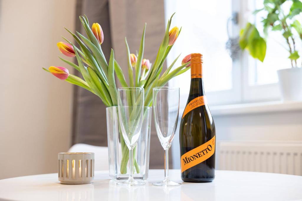 Historic Center Brno Apartment - 14