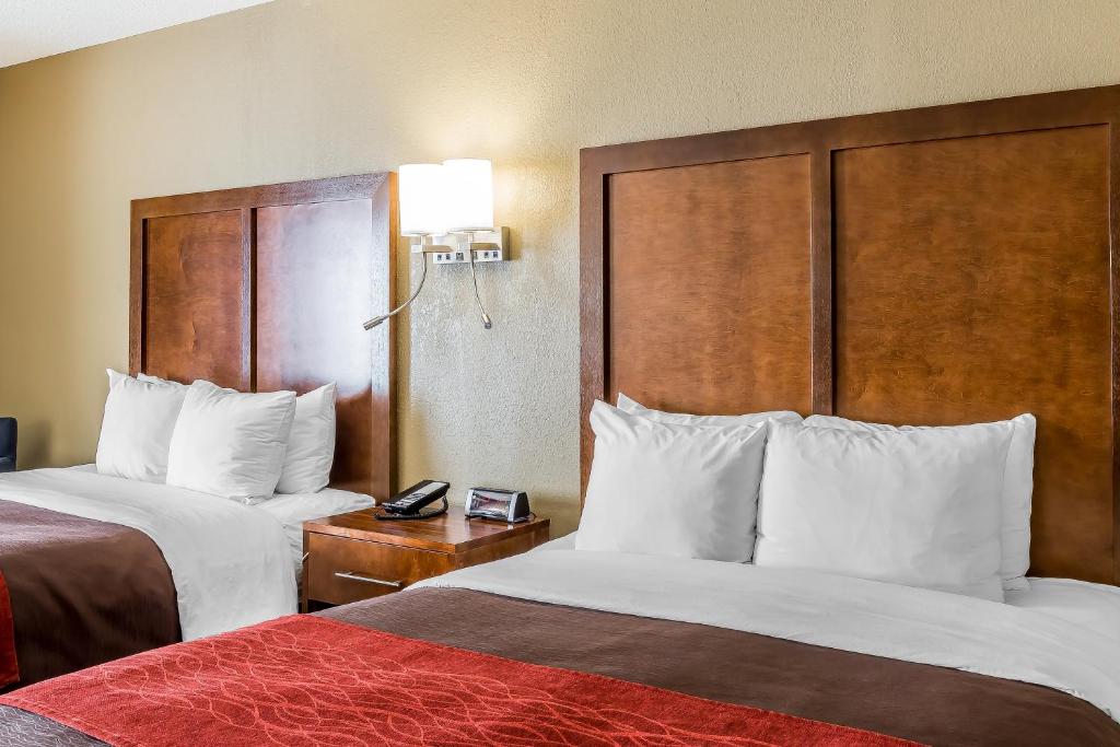 Comfort Inn & Suites - Room King Con Ducha Enrollable: Accesible/no Fumar