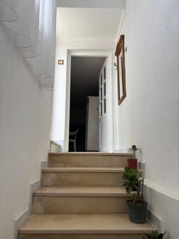 a stairway leading into a hallway with a door at Cosy Apparemment in Nabeul