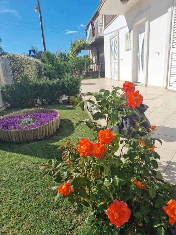 Apartman Rosa
