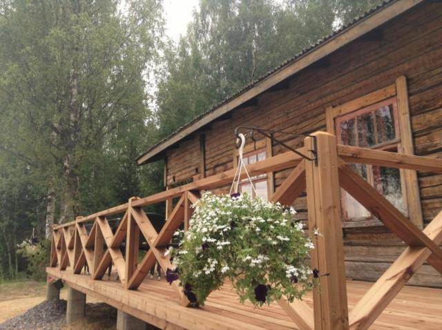 a wooden cabin with a potted plant on the deck at Erämökki Puruveden rannalla in Vaara