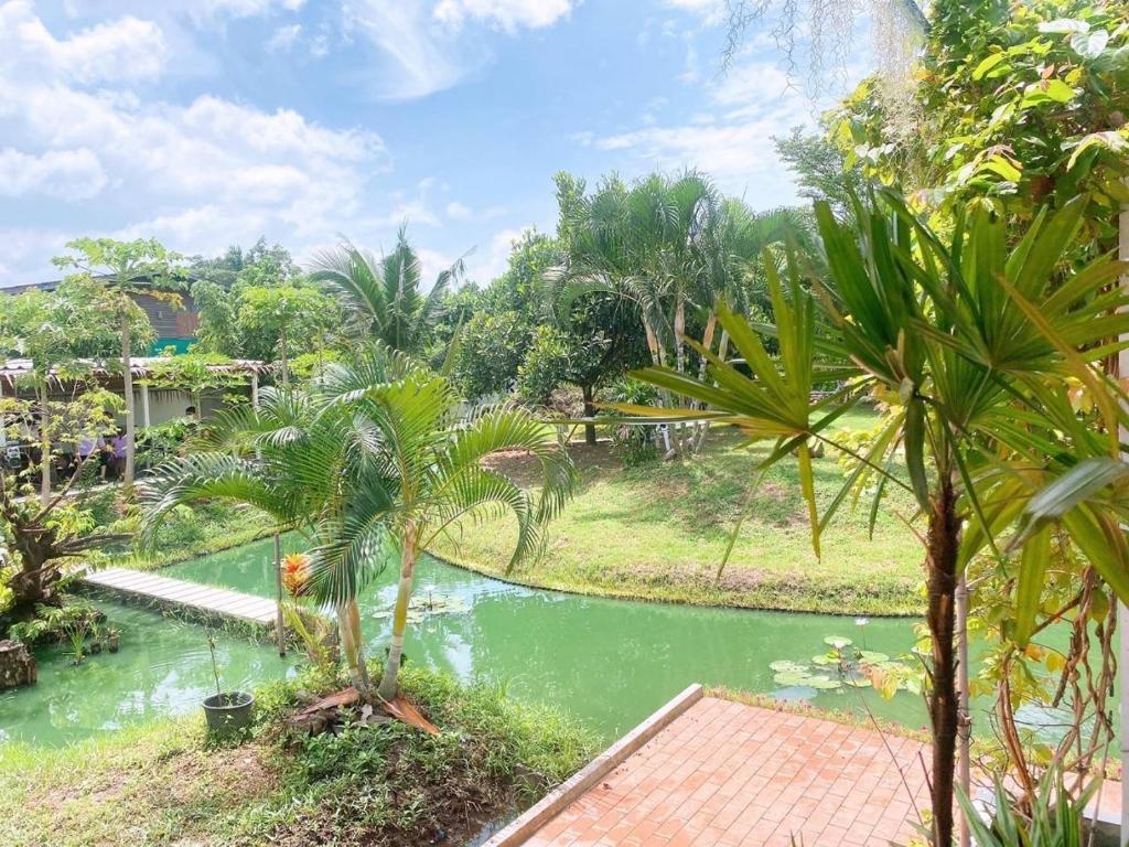 a view from the garden of a resort with a pond at Chan Klong No8 Homestay - บ้านชานคลองหมายเลข8 in Sathani Wat Sing