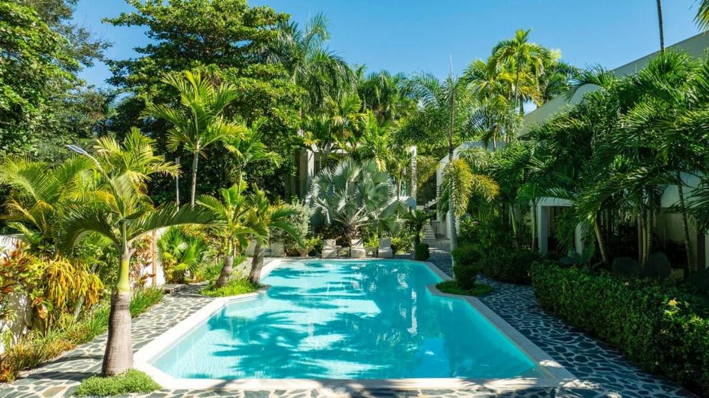 a swimming pool in a yard with palm trees at Pro Cab Apartment - Washer - BBQ in Cabarete