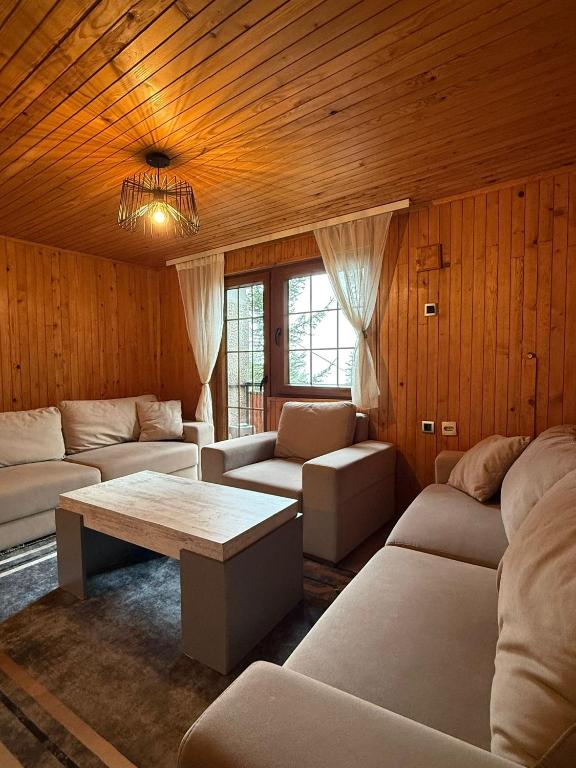 ein Wohnzimmer mit Sofas und einer Holzdecke in der Unterkunft Vila Bon in Tetovo