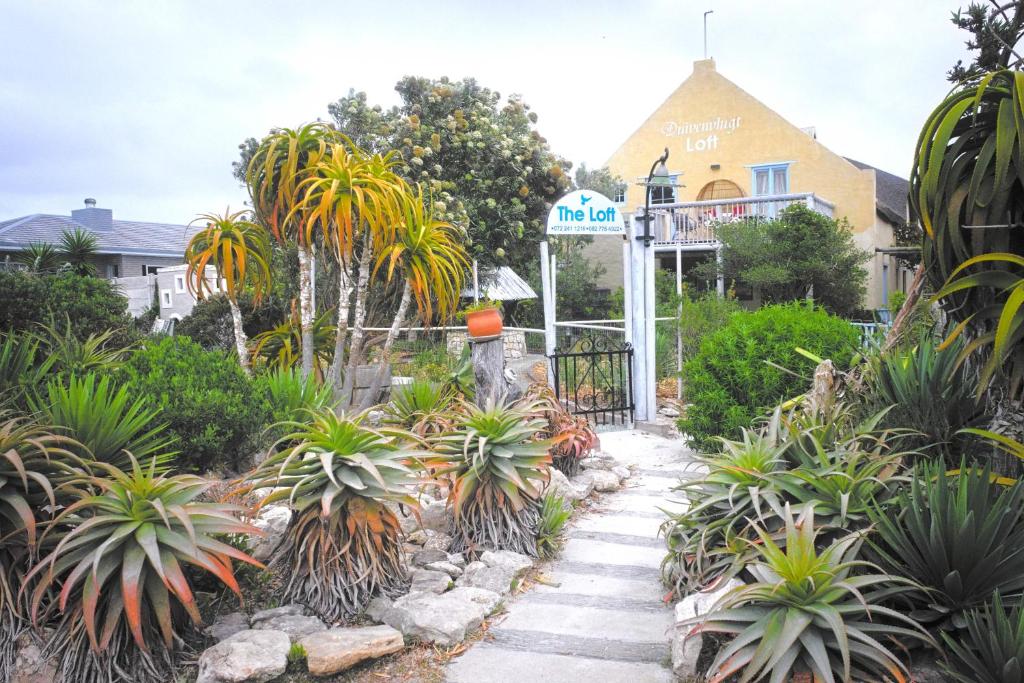 a garden in front of a house with plants at Duivenvlugt Loft in Stilbaai