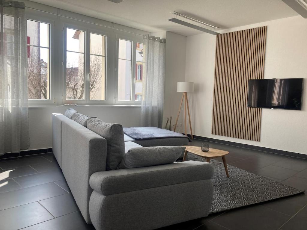 a living room with a couch and a tv at Appartement Atelier in Le Noirmont