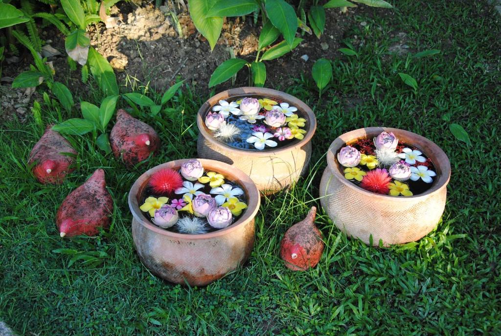 Zahrada ubytování Baan Chai Thung Resort
