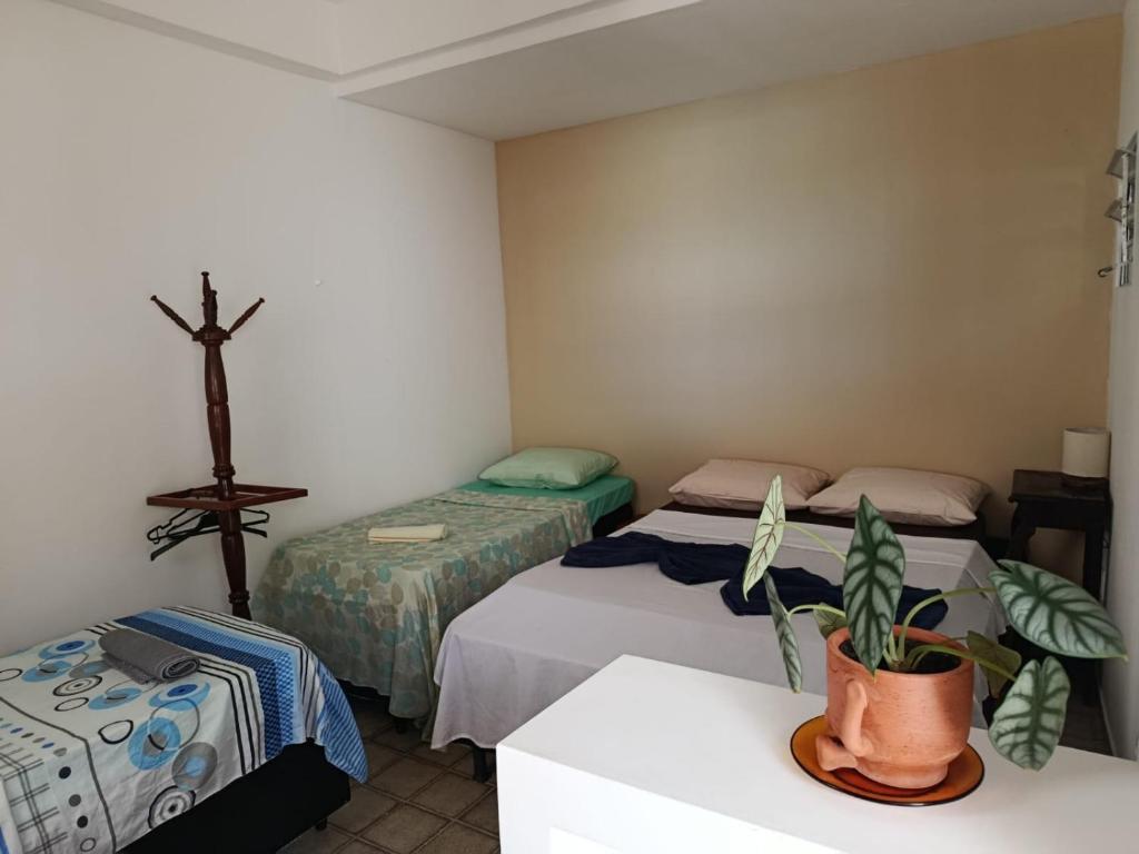 a room with two beds and a potted plant at Suite Quadrupla Terreo Oceazul in Conde