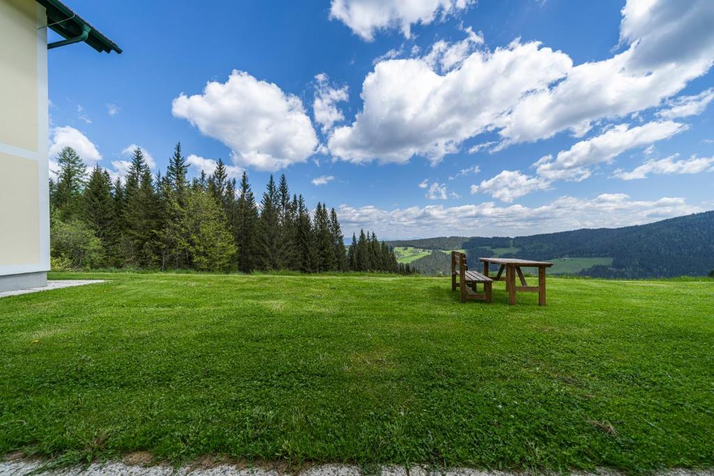 a picnic table in a field of green grass at Ferienwohnungen Hebalm in Pack
