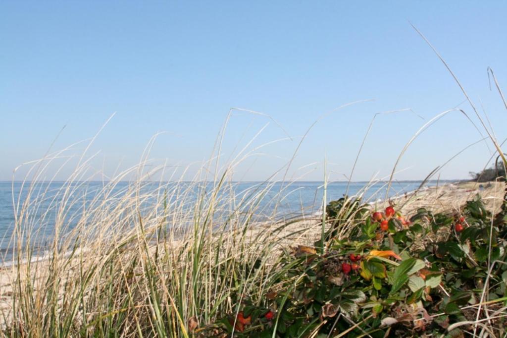 Gallery image of After Dune Delight in Brewster