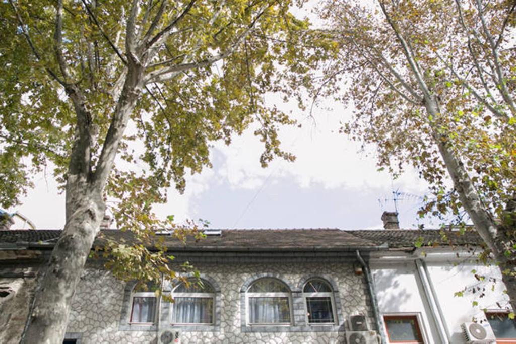 una casa con due alberi davanti di Kona Apartment a Belgrado