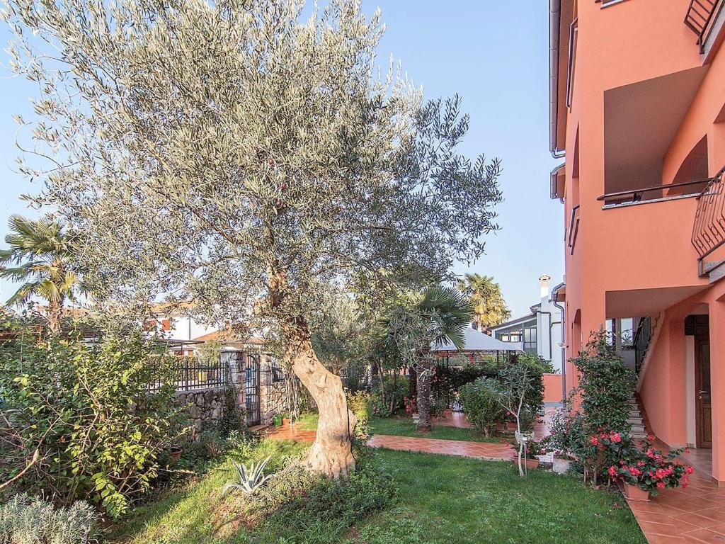 Apartments Cvek - 17