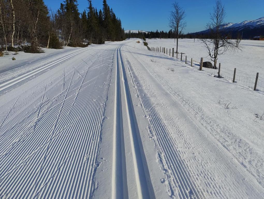 eine schneebedeckte Straße mit Reifenspuren im Schnee in der Unterkunft Synnseter in Nord Torpa