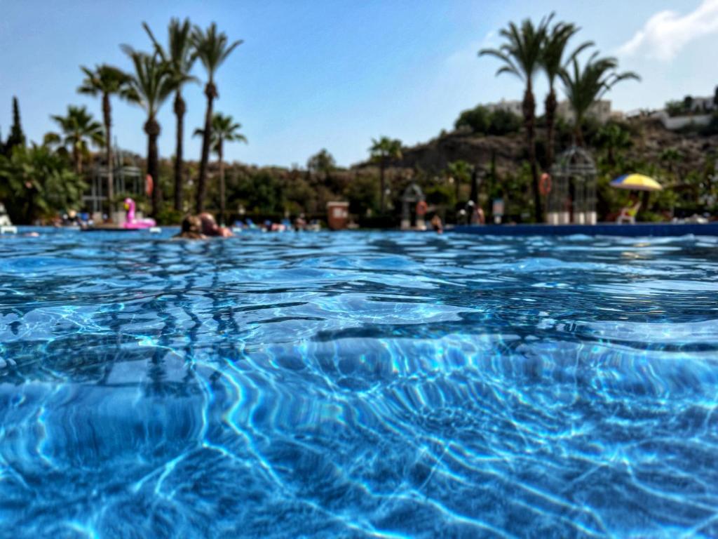 a large swimming pool with palm trees in the background at Casa de Andres Mojácar in Mojácar