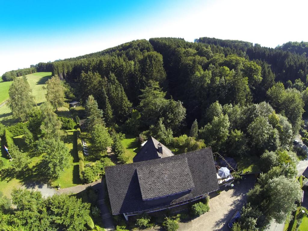 Příroda nedaleko bed and breakfast