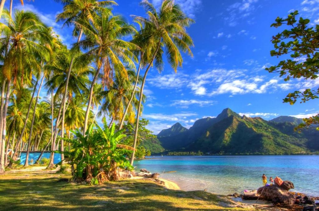 Tropical paradise near Taahiamanu beach - hébergement à Moorea