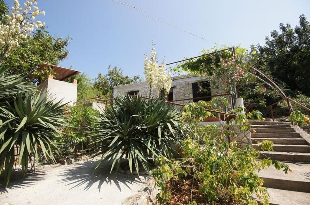 a house with a bunch of plants in front of it at House Paulo1 in Rogačić