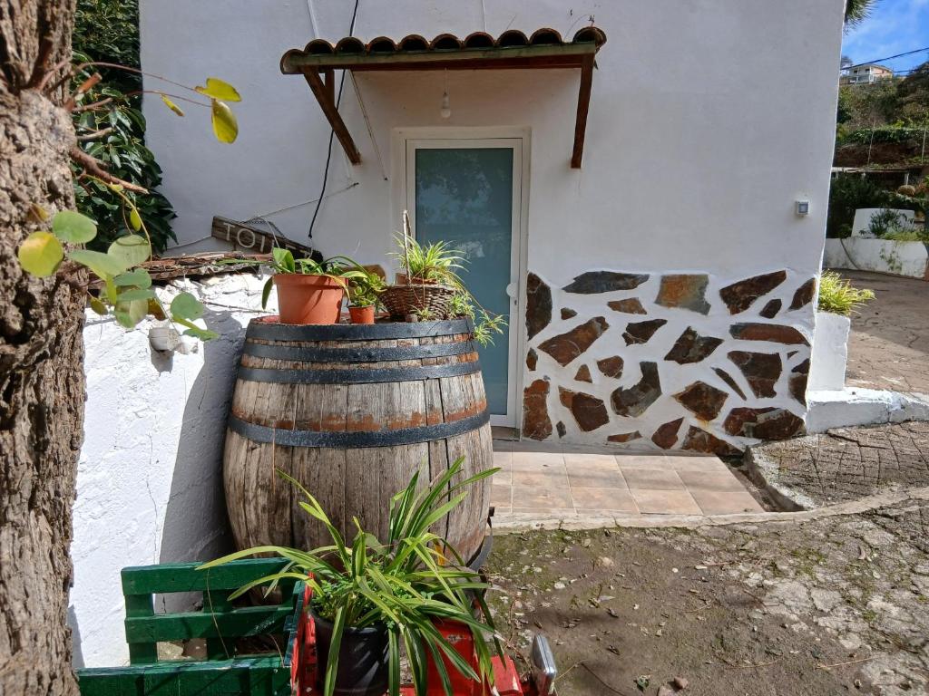 a large wooden barrel with potted plants in front of a door at Loft Mamposo in Tacoronte
