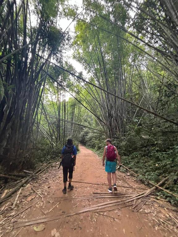 Anita dream house - 19