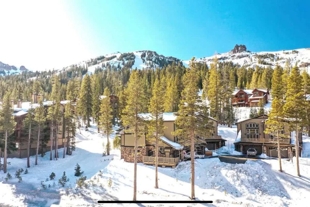 an aerial view of a house in the snow at Kirkwood Mountainside Cabin & Cottage Deck wViews in Kirkwood