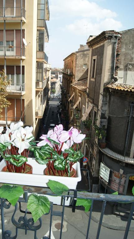 Sicily Home Center - 两居室公寓