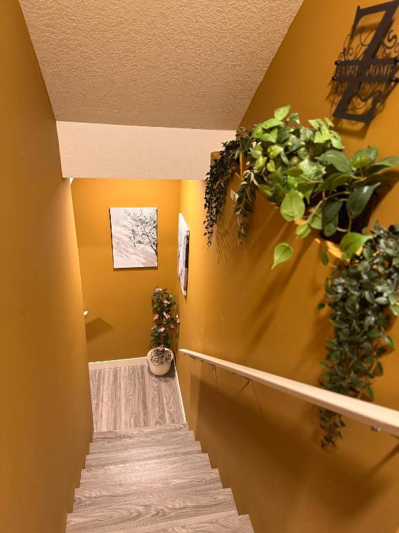 Z FamilyHome Suites & Apartments photo