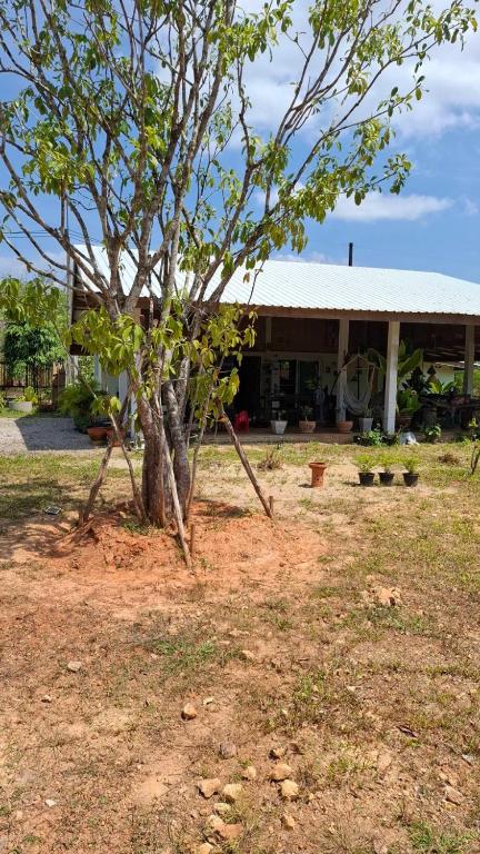 a house with a tree in front of it at Anna Garden Homestay in Ban Phlu Kom