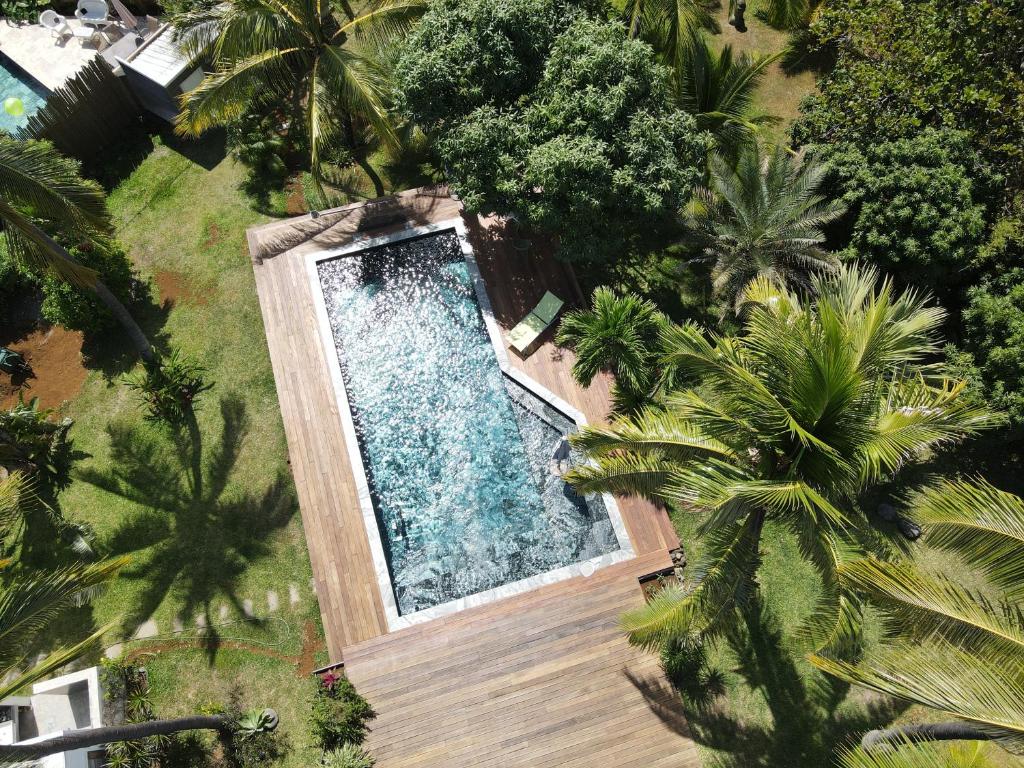 an overhead view of a swimming pool with palm trees at Maison Nature in La Possession
