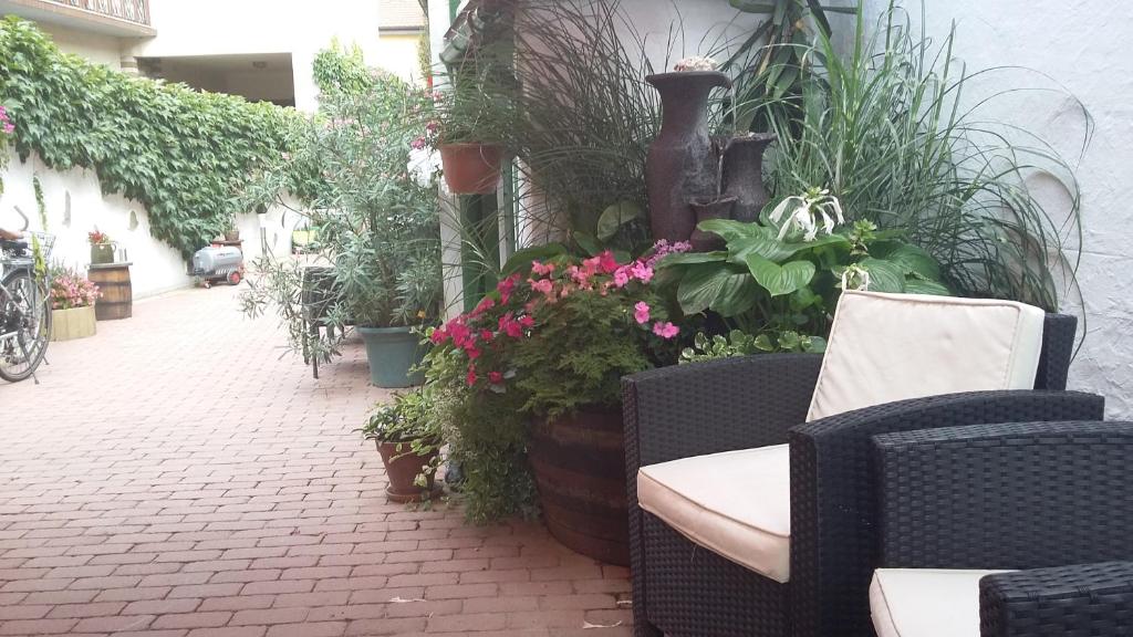 a patio with some chairs and flowers and plants at Laubgassl in Mörbisch am See