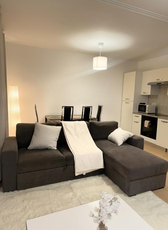 Appartement Cosy au cœur de Mulhouse – photo 4