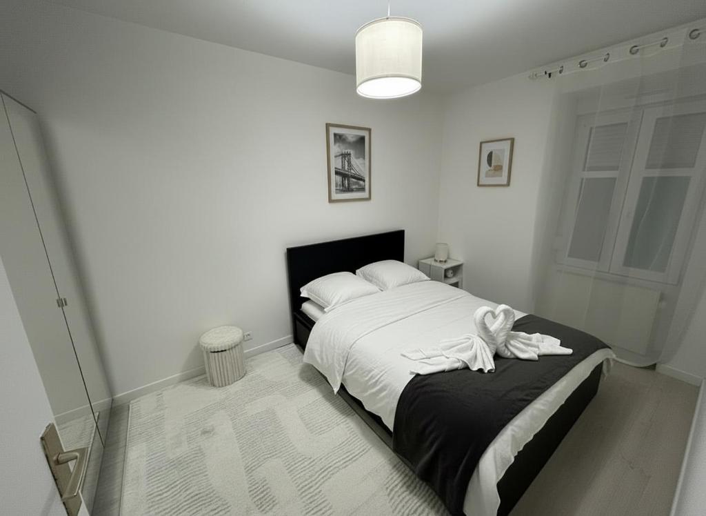 Appartement Cosy au cœur de Mulhouse – photo 7