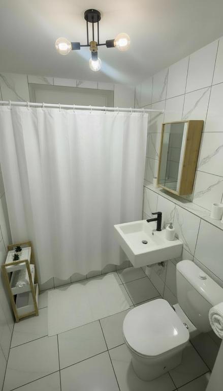 Appartement Cosy au cœur de Mulhouse – photo 3