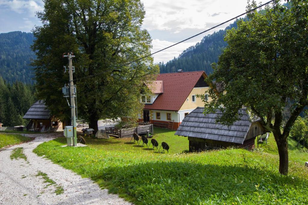 Příroda nedaleko apartmánu