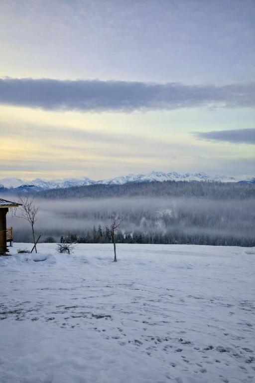 Pod Tatrami widok na Tatry, sauna, parking, blisko Term Bukovina - 1
