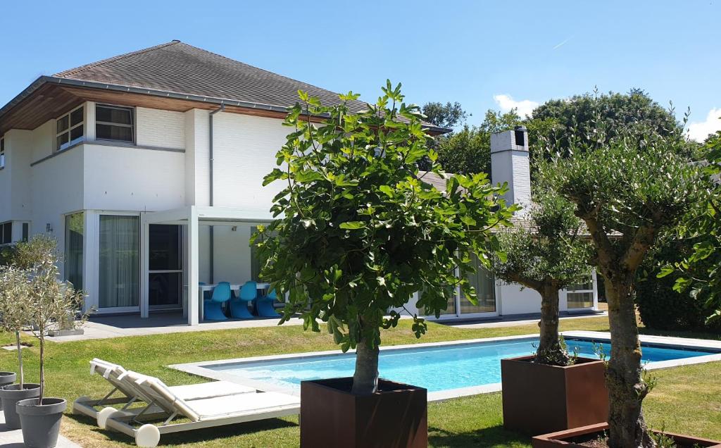a house with a swimming pool and two trees at Guesthouse Thibault in Gistel