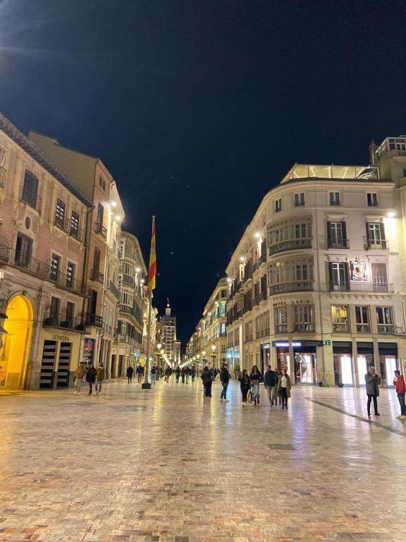 a group of people walking down a street at night at Larios Rooms in Málaga