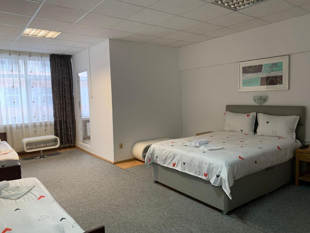 ein Schlafzimmer mit einem großen Bett und einem Fenster in der Unterkunft Studio Rentals in Onești