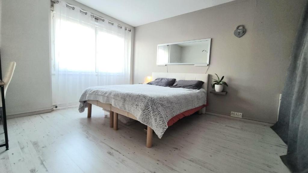 a bedroom with a bed with a mirror and a window at Grande chambre de 16m2 in La Croix Rousse