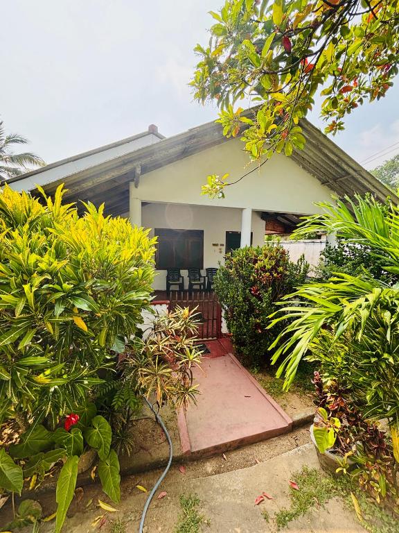 a house with a garden with plants and trees at Dara Place in Dickwella