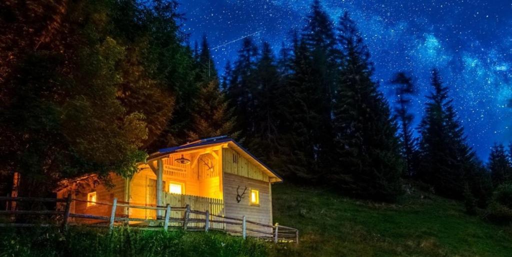 a cabin under a starry sky at night at Annenhütte in Reichenfels