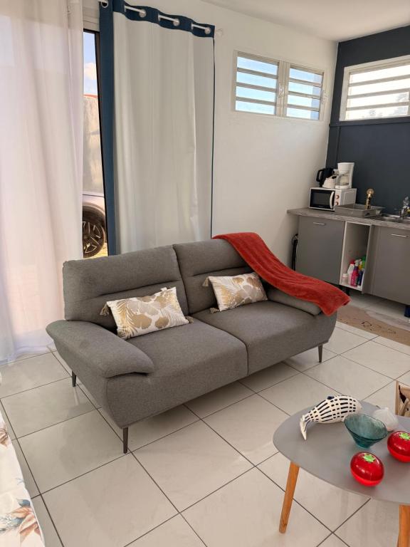 a living room with a gray couch and a table at Charmant T2 sur le robert in Le Robert
